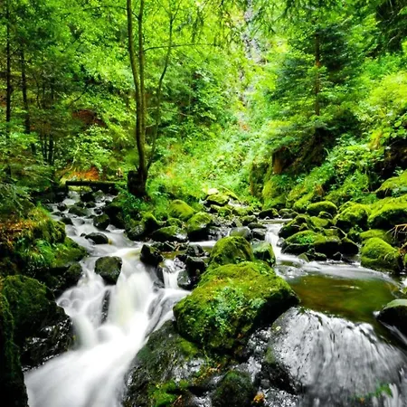Garden Escape In Wernigerode, Cleaning Included * فيرنغروده